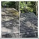 Roof cleaning 8